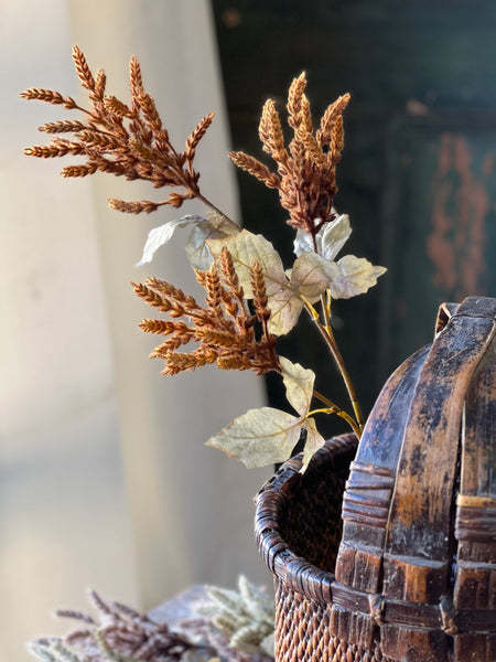 Castaway Cattails | 36" | Cider | SOLD OUT