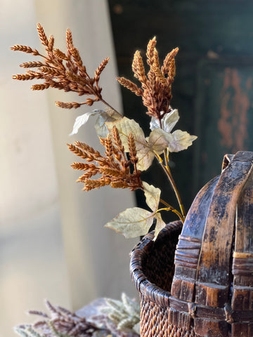 Castaway Cattails | 36" | Cider | SOLD OUT