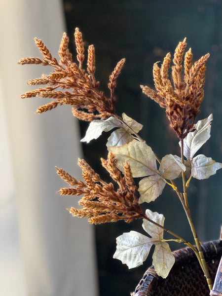 Castaway Cattails | 36" | Cider | SOLD OUT