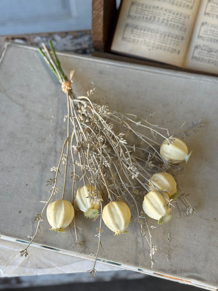 Peaking Pod Bundle | 15" | Cream