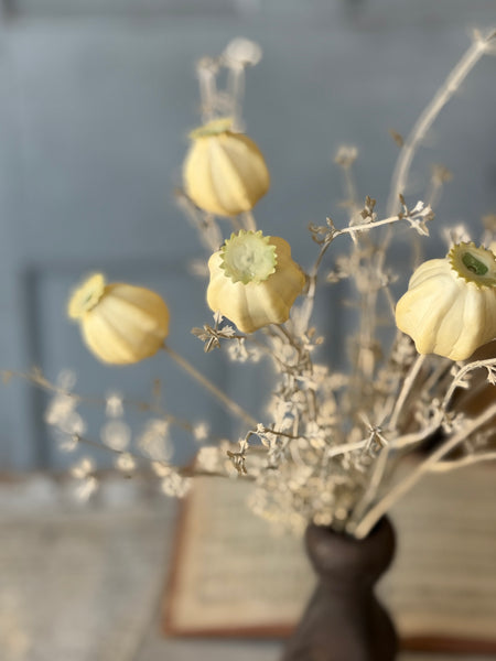 Peaking Pod Bundle | 15" | Cream