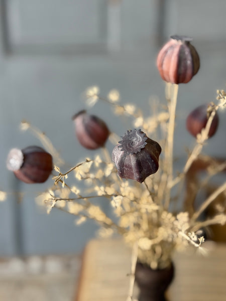 Peaking Pod Bundle | 15" | Dream