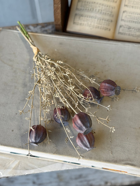 Peaking Pod Bundle | 15" | Dream