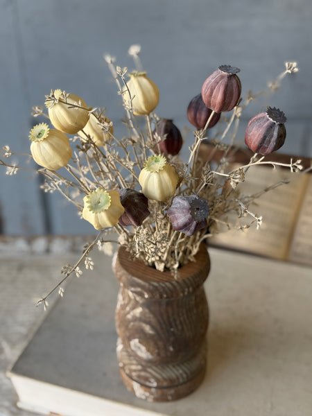 Peaking Pod Bundle | 15" | Dream