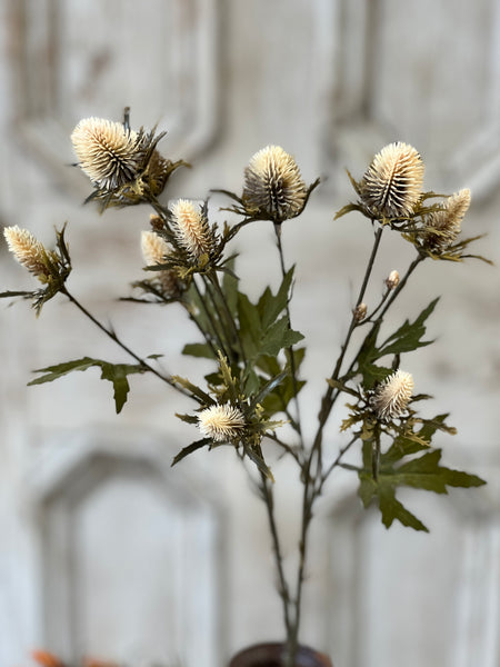 Gomphrena Spray | 27" | Cream