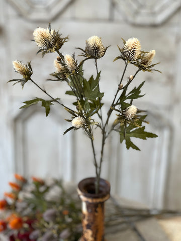 Gomphrena Spray | 27" | Cream