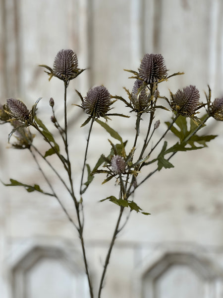 Gomphrena Spray | 27" | Purple