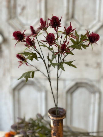 Gomphrena Spray | 27" | Sangria