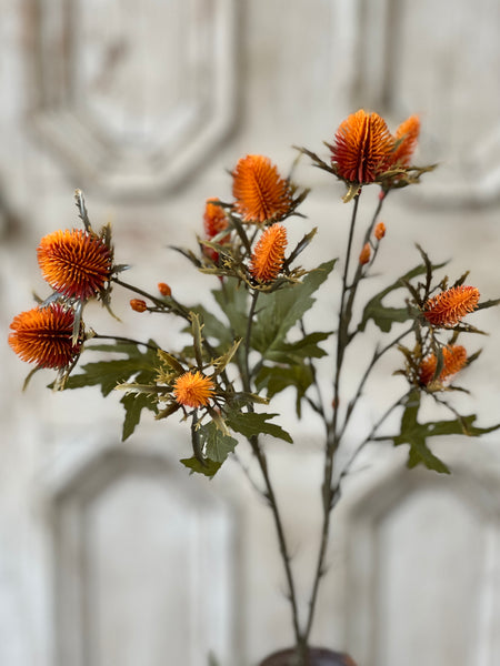 Gomphrena Spray | 27" | Flame