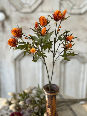 Gomphrena Spray | 27" | Flame