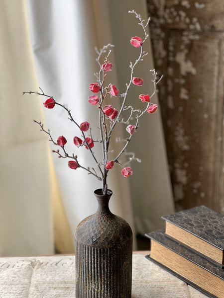 Wistful Winter Branch | 28" | Red Rush