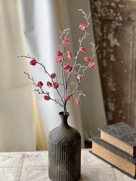 Wistful Winter Branch | 28" | Red Rush