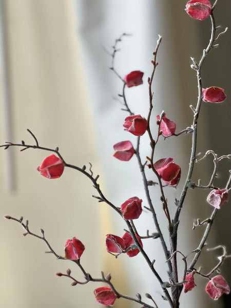 Wistful Winter Branch | 28" | Red Rush