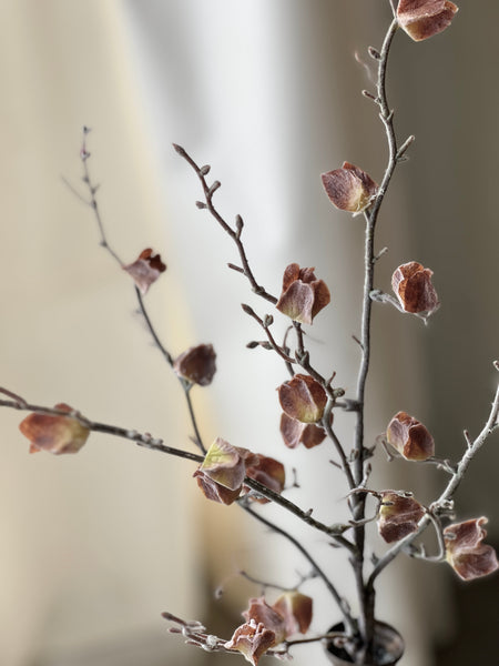 Wistful Winter Branch | 28" | Dream