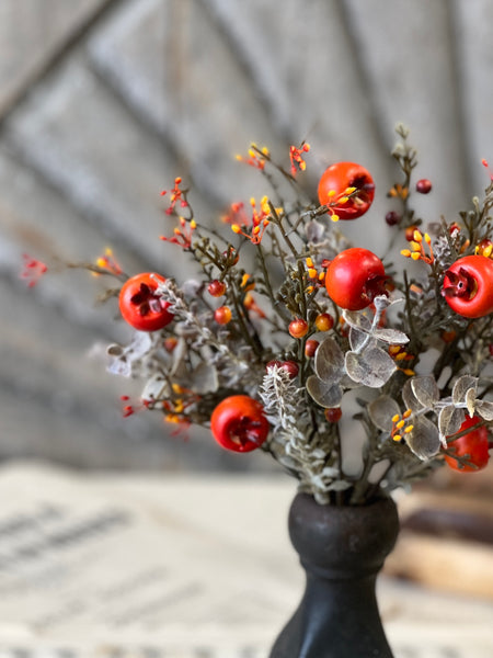 Breckenberry Bush | 10.5"