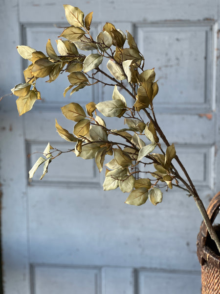 Windrush Leaves | 46" | Fresh | Limited Stock - Last 6pcs!