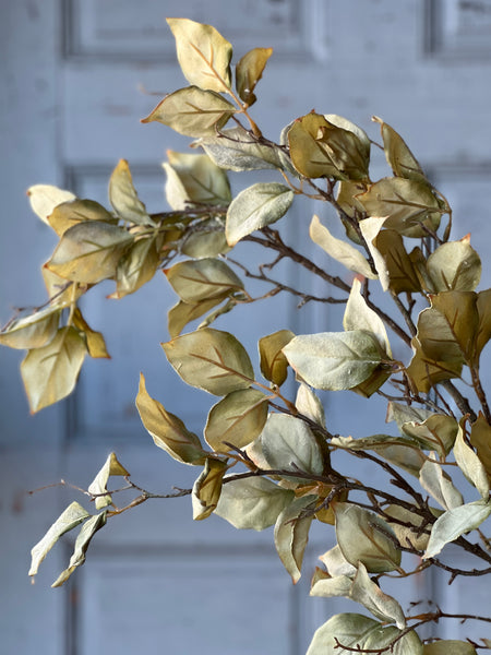 Windrush Leaves | 46" | Fresh | Limited Stock - Last 6pcs!