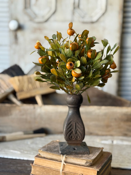 October Epilogue Bush | 12" | NOT CURRENTLY IN STOCK-New For Holiday 2026!