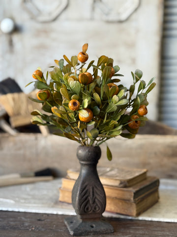 October Epilogue Bush | 12" | NOT CURRENTLY IN STOCK-New For Holiday 2026!