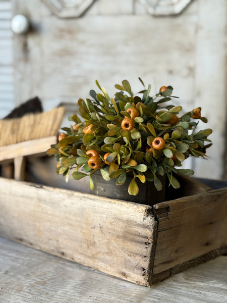 October Epilogue Half Sphere | 11" | NOT CURRENTLY IN STOCK-New For Holiday 2026!