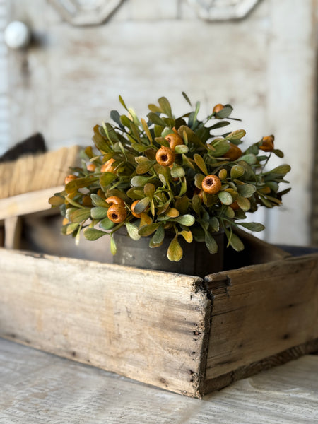 October Epilogue Half Sphere | 11" | NOT CURRENTLY IN STOCK-New For Holiday 2026!