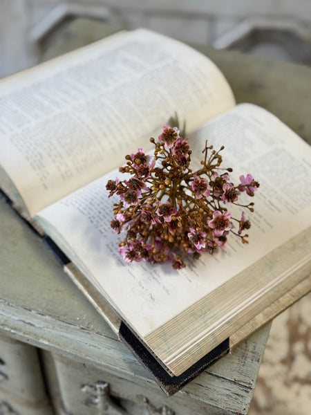 Emmeline Bundle | 8" | Heather | NOT CURRENTLY IN STOCK-New For Holiday 2026!