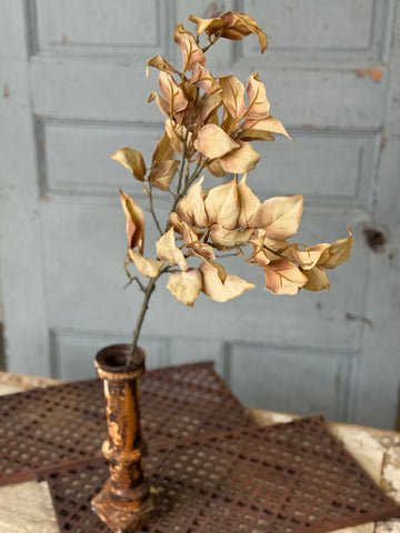 Windward Leaves | 30" | Buff | NOT CURRENTLY IN STOCK-New For Holiday 2026!