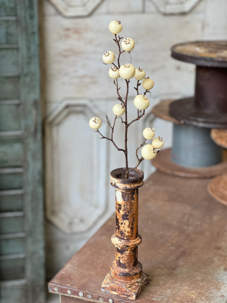 Tallow Berry Spray | 23" | Cream