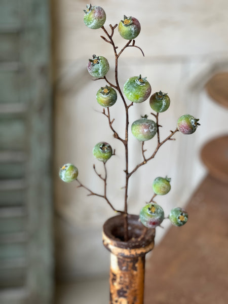 Tallow Berry Spray | 23" | Green