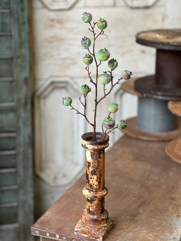 Tallow Berry Spray | 23" | Green