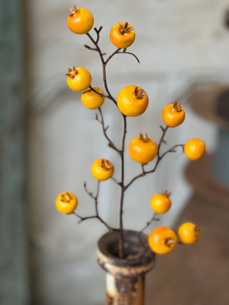 Tallow Berry Spray | 23" | Yellow