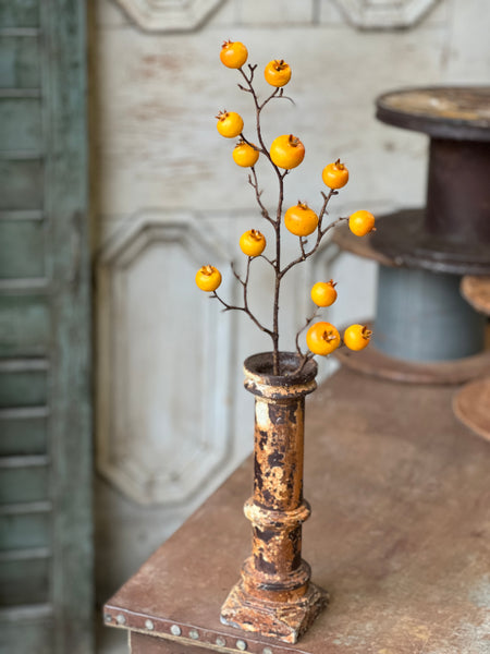 Tallow Berry Spray | 23" | Yellow