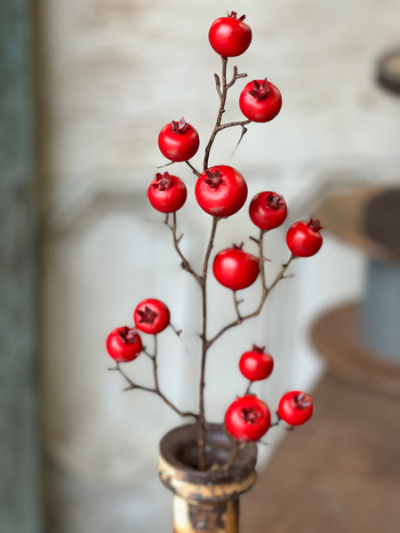 Tallow Berry Spray | 23" | Red