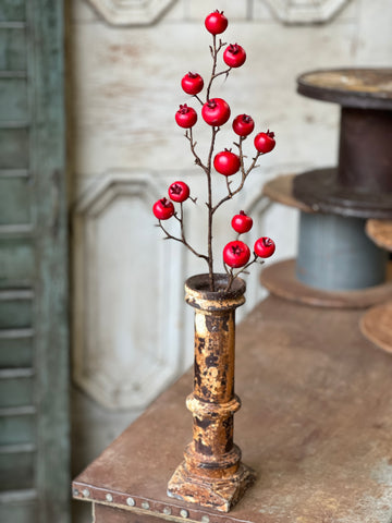 Tallow Berry Spray | 23" | Red