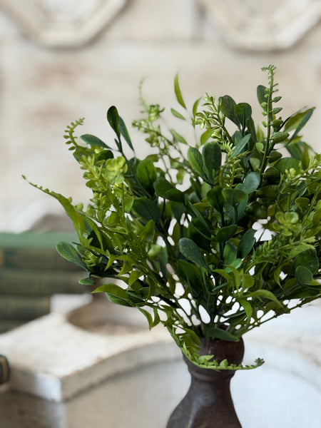 Ferncroft Greens Bush | 12" | NOT CURRENTLY IN STOCK-New For Spring 2027!