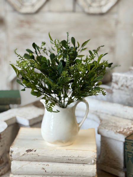 Ferncroft Greens Bush | 12" | NOT CURRENTLY IN STOCK-New For Spring 2027!