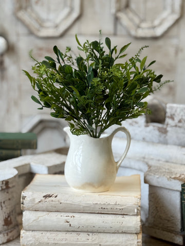Ferncroft Greens Bush | 12" | NOT CURRENTLY IN STOCK-New For Spring 2027!