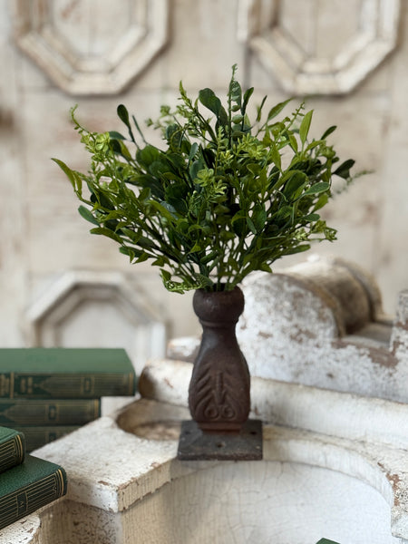 Ferncroft Greens Bush | 12" | NOT CURRENTLY IN STOCK-New For Spring 2027!