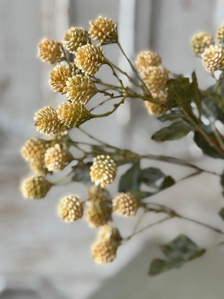 Firefly Buds | 33" | Mello | NOT CURRENTLY IN STOCK-New For Spring 2027!