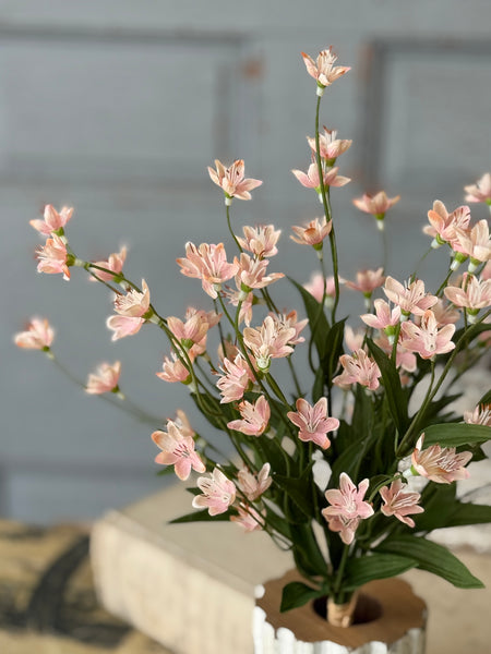 Debonair Bundle | 18.5" | Peachy | NOT CURRENTLY IN STOCK-New For Spring 2027!