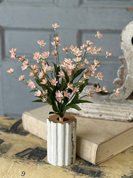 Debonair Bundle | 18.5" | Peachy | NOT CURRENTLY IN STOCK-New For Spring 2027!