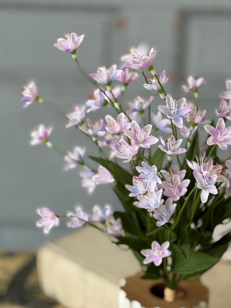 Debonair Bundle | 18.5" | Lilac Mist | NOT CURRENTLY IN STOCK-New For Spring 2027!