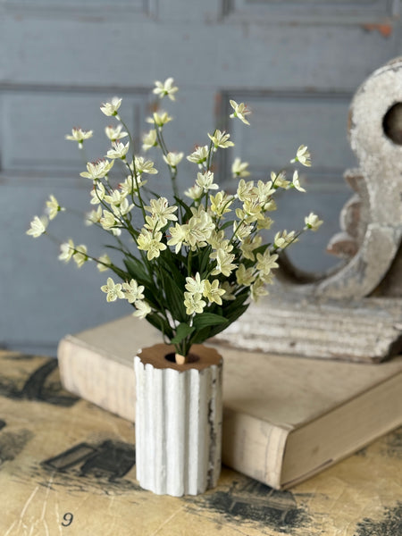 Debonair Bundle | 18.5" | Cream | NOT CURRENTLY IN STOCK-New For Spring 2027!