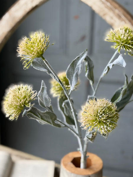 Dew Thistle Spray | 27" | Cream | NOT CURRENTLY IN STOCK-New For Spring 2027!