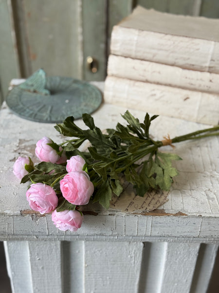 Persian Buttercup Bundle | 17" | NOT CURRENTLY IN STOCK-New For Spring 2027!