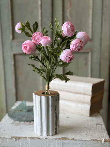 Persian Buttercup Bundle | 17" | NOT CURRENTLY IN STOCK-New For Spring 2027!