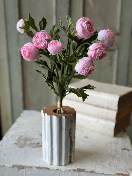 Persian Buttercup Bundle | 17" | NOT CURRENTLY IN STOCK-New For Spring 2027!