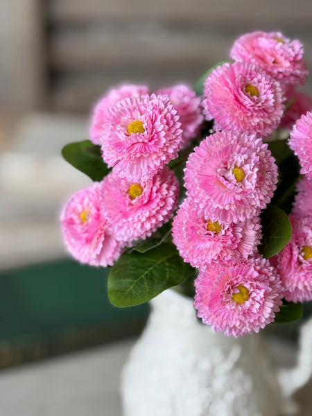 Fiesta Blooms Bush | 12" | Flirt | NOT CURRENTLY IN STOCK-New For Spring 2027!