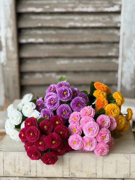 Fiesta Blooms Bush | 12" | Sunburst | NOT CURRENTLY IN STOCK-New For Spring 2027!