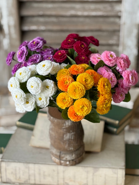 Fiesta Blooms Bush | 12" | Dollop | NOT CURRENTLY IN STOCK-New For Spring 2027!